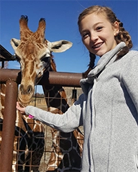 Girl With Braces Feeding A Giraffe